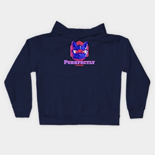 Purrfectly Leveled Kids Hoodie